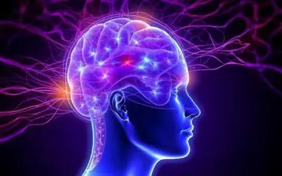 Dekada innowacji w EEG Biofeedback