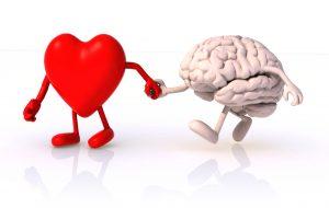 4 300x190 heart and brain that walk hand in hand, concept of health of walking