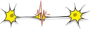 91 bmV1cm9sb2d5IGxvZ28 e1478123731348 300x99 neurology logo